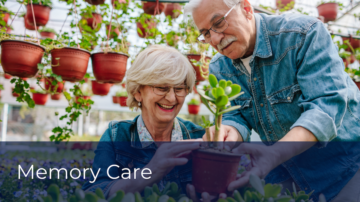 An elderly couple tending to plants together, enjoying a gardening activity.